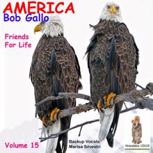 Bob Gallo: America, Vol. 15.  Friends for Life