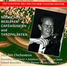 Various Artists: GOLDEN ERA OF THE GERMAN DANCE ORCHESTRA - Musik aus Berliner Cafehausern und Tnzpalasten in Originalaunahmen (1930-1943)