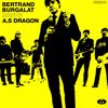 Bertrand Burgalat: Bertrand Burgalat Meets A.S Dragon