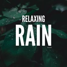 Rain Sounds: Relaxing Rain Sounds