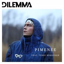 Dilemma, Terhi Kokkonen: Pimenee (feat. Terhi Kokkonen)