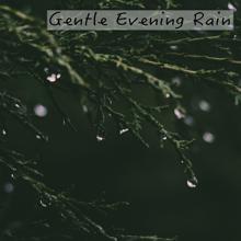 Rain Sounds: Gentle Evening Rain