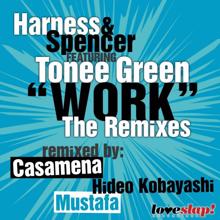 Harness And Spencer: Work The Remixes