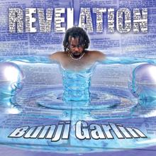 Bunji Garlin: Revelation