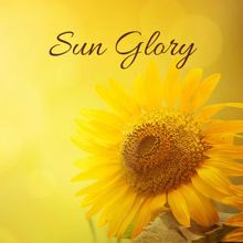 Zen Music Garden: Sun Glory