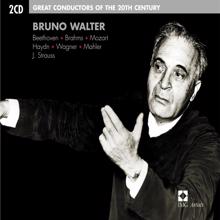 Bruno Walter: Bruno Walter :Great Conductors of the 20th Century