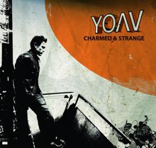 Yoav: Charmed & Strange