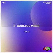 Various Artists: Soulful Vibes, Vol. 14