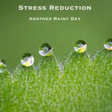 Rain Sounds: Stress Reduction