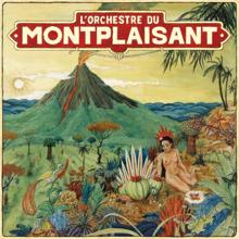 Orchestre du Montplaisant: Orchestre du Montplaisant