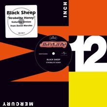 Black Sheep: Strobelite Honey