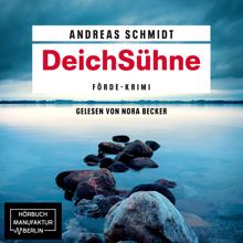 Andreas Schmidt: DeichSühne (ungekürzt)