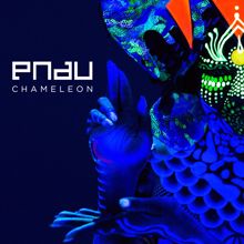 PNAU: Chameleon