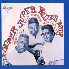 Bo Diddley: The Super Super Blues Band