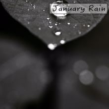 Rain Sounds: January Rain