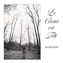 Andre Popp: Le cœur en fête