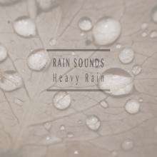 Rain Sounds: Heavy Rain