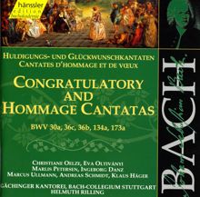 Andreas Schmidt: Bach, J.S.: Secular Cantatas, Bwv 30A, 36C, 36B, 134A, 173A