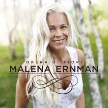 Malena Ernman: I det fria