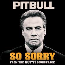 Pitbull: So Sorry