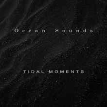 Ocean Sounds: Tidal Moments