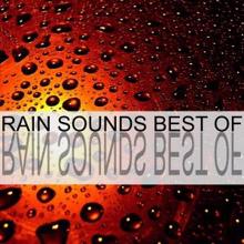 Rain Sounds: Rain Sounds Best Of