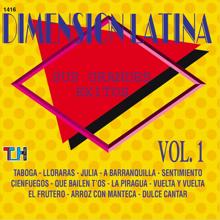 Dimension Latina: Sus Grandes Éxitos, Vol. 1