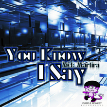 Nick Martira: You Know I Say (Radio Edit Mix)