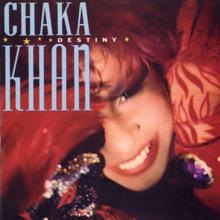 Chaka Khan: Destiny