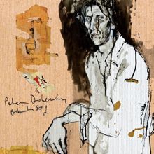 Peter Doherty: Broken Love Song