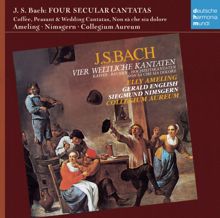 Collegium Aureum: Bach: 4 weltliche Kantaten