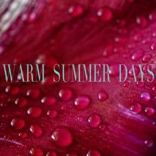 Rain Sounds: Warm Summer Days