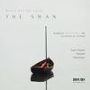Manuel Ruiz del Corral Meets Victor Herbert, Robert Schumann & Camille Saint-Säens: The Swan: Hidden Treasures of Classical Piano