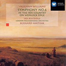 Bernard Haitink: Vaughan Williams: Symphony No. 6, In the Fen Country & On Wenlock Edge