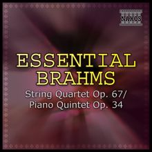 Jenö Jando: Essential Brahms: String Quartet Op. 67/ Piano Quintet Op. 34