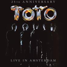 Toto: Afraid of Love