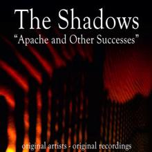 The Shadows: Theme from a Filleted Place