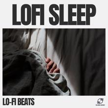 LO-FI BEATS: Lofi Sleep