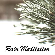 Rain Sounds: Rain Meditation