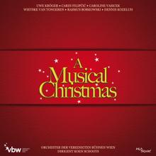 Various Artists: A Musical Christmas