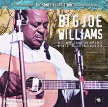 Big Joe Williams: The Sonet Blues Story