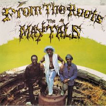 The Maytals: From the Roots