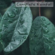 Rain Sounds: Complete Rainfall