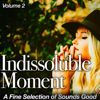 Various Artists: Indissoluble Moment, Vol. 2