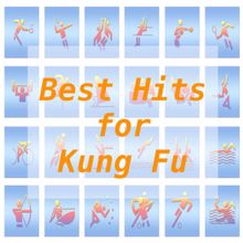 Tune Robbers: Best Hits for Kung Fu