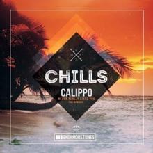 Calippo: Never Really Liked You (Sons of Maria Extended Remix)