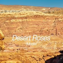 Desert Roses: Model