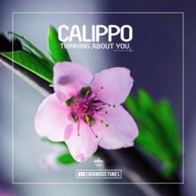 Calippo: Thinking About You (Instrumental Mix)