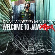 Damian Marley: For The Babies (Album Version) (For The Babies)