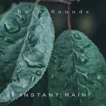 Rain Sounds: Instant Rain